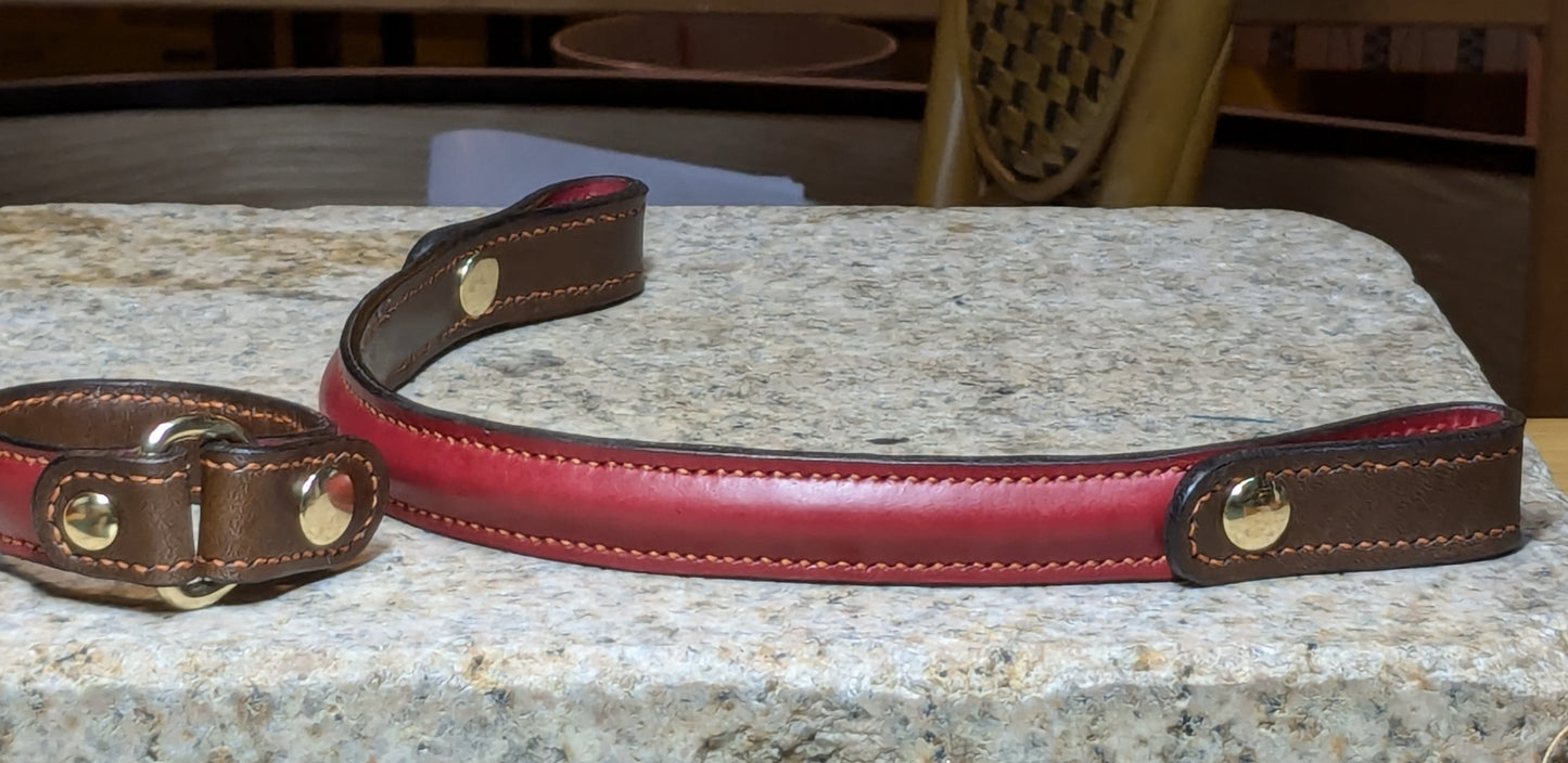 犬用首輪 カラーを選べます